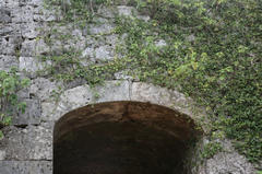20100522_006.JPG
