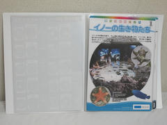 68976f47.JPG