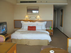 2006_rr01.JPG