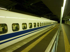 P1000134.jpg