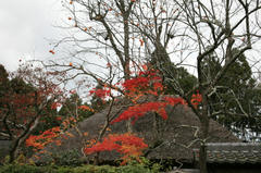 IMG_3175.JPG