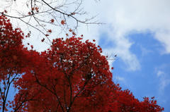 IMG_3070.JPG