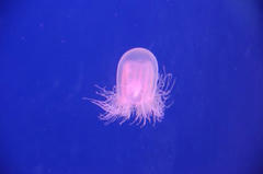 DSC_1389.JPG