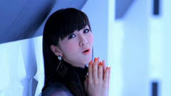 Pfm_LB_007.JPG
