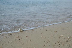 20110708_026.JPG