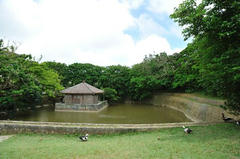 20110708_016.JPG