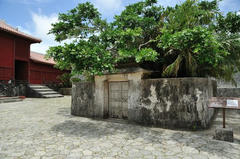 20110708_004.JPG