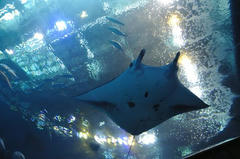 20110709_015.JPG