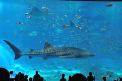 20110709_014.JPG