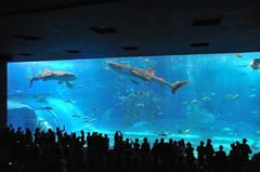 20110709_013.JPG