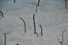 20110709_012.JPG