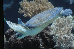 20110709_011.JPG