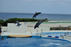 20110709_009.JPG