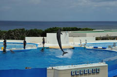 20110709_008.JPG
