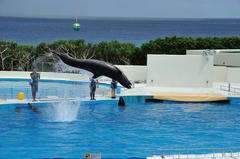 20110709_007.JPG