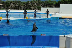 20110709_005.JPG
