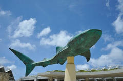 20110709_003.JPG