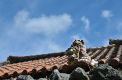 20110710_006.JPG