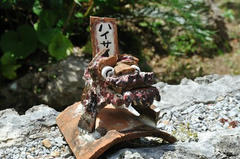 20110710_003.JPG