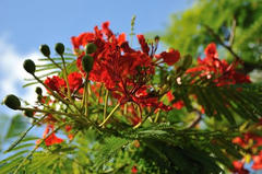 20110711_014.JPG