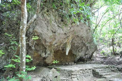 20110711_002.JPG
