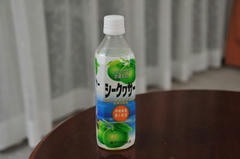 20110708_11_21.JPG