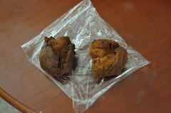 20110708_11_05.JPG
