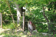 20110717_003.JPG