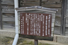 20110718_009.JPG