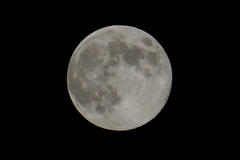 DSC_2234.jpg