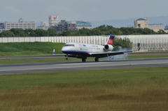 D03_2142.JPG
