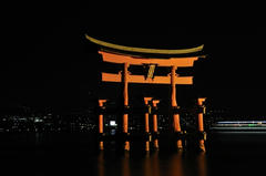 20120317_019.JPG