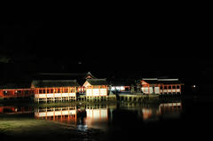 20120317_021.JPG
