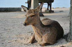 20120317_022.JPG