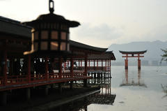 20120317_015.JPG