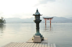20120317_017.JPG
