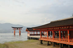 20120317_018.JPG
