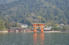 20120317_013.JPG