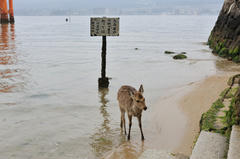 20120318_004.jpg