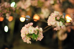 120419_011.JPG
