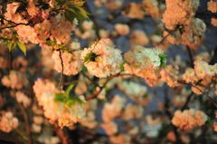 120419_008.JPG