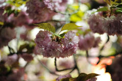 120419_007.JPG