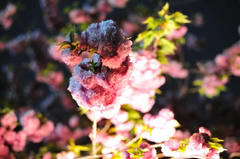 120419_005.JPG