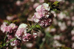 120419_004.JPG