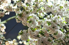 120419_002.JPG