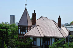 D03_5131.jpg
