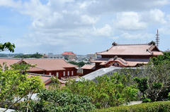 D03_6060.JPG