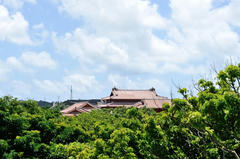 D03_6055.JPG