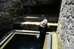 D03_6032.JPG