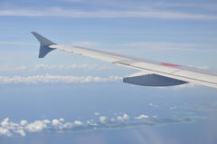 D03_6019.JPG